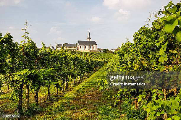 green vineyard with church in germany - rheingau stock pictures, royalty-free photos & images