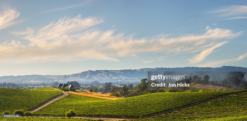 California wine country.