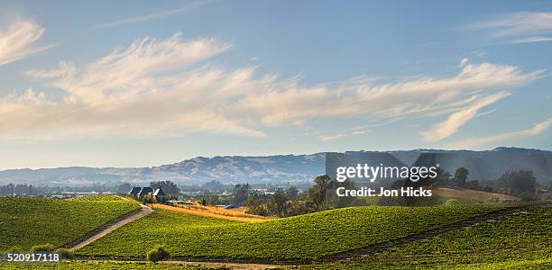 california wine country. - napa valley stock-fotos und bilder