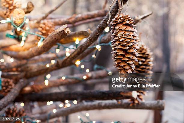 pinecones hanging with lights - selective focus stock-fotos und bilder