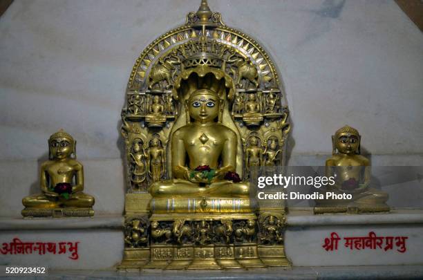 Sirohi Photos and Premium High Res Pictures - Getty Images