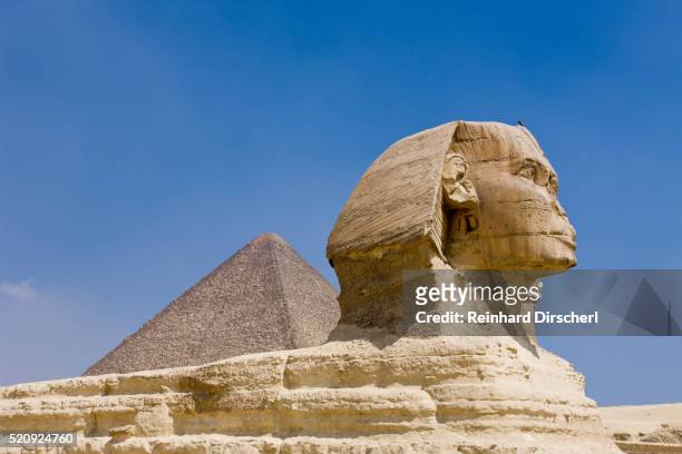 great sphinx of giza against cheops pyramid, cairo, egypt - piramide van chefren stockfoto's en -beelden