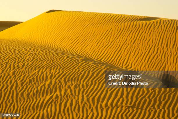 ripple design on golden sand dunes due to wind with highlight and shadow play at sam, jaisalmer, rajasthan, india - sam sand dunes stock pictures, royalty-free photos & images