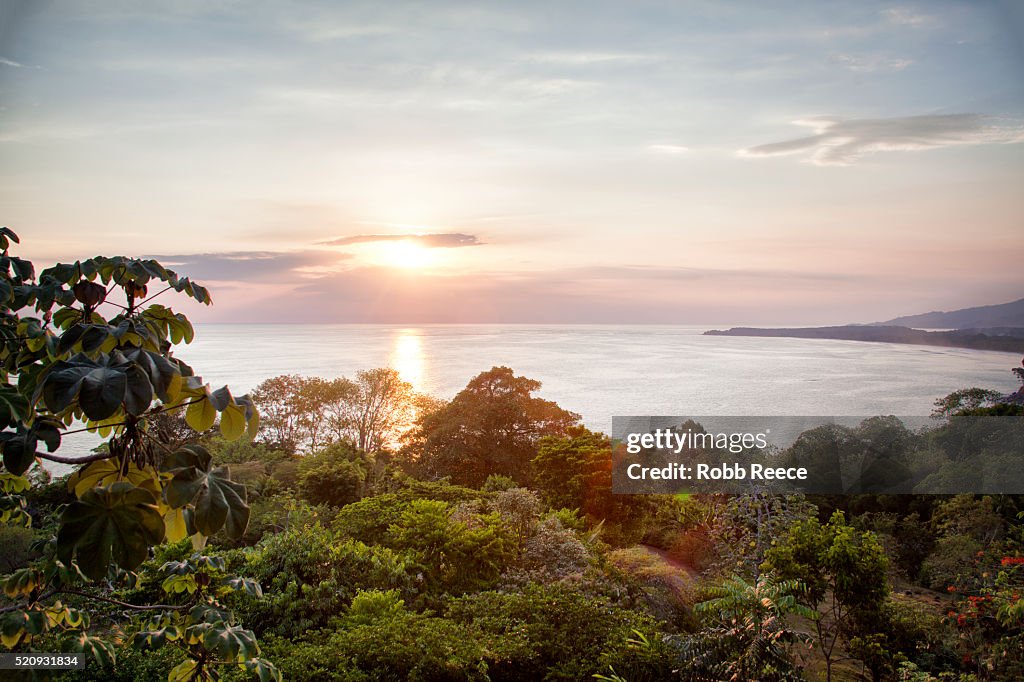 Sunset and landscape of jungle and ocean bay in Belize, Central America