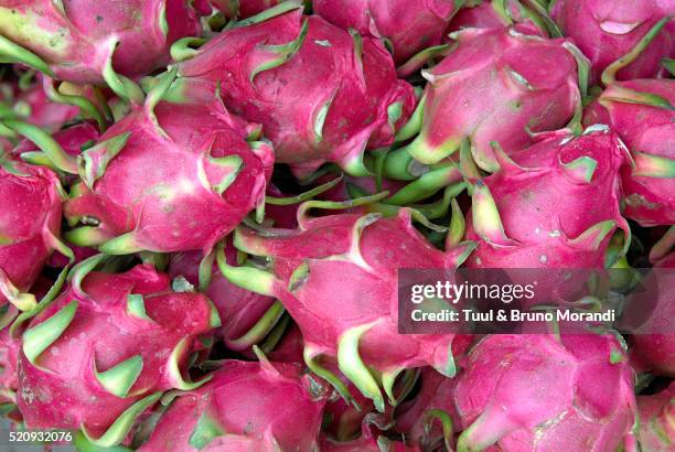 fresh dragon fruit - pitaya stock pictures, royalty-free photos & images