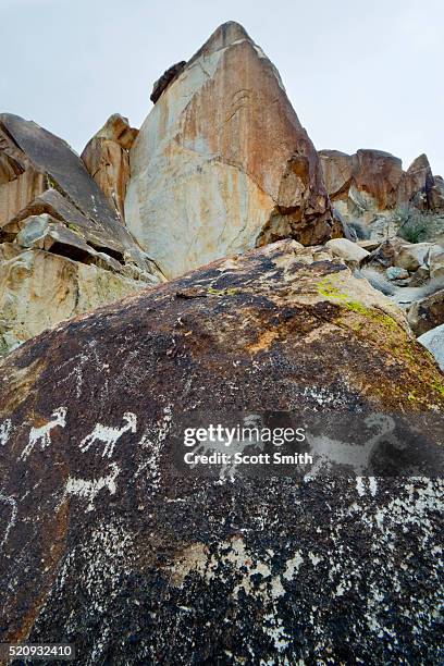 lake mead national recreation area, nevada. usa. - lake mead national recreation area stock pictures, royalty-free photos & images