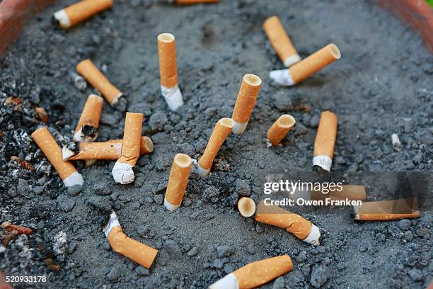 cigarette butts in italy - sigaretta foto e immagini stock
