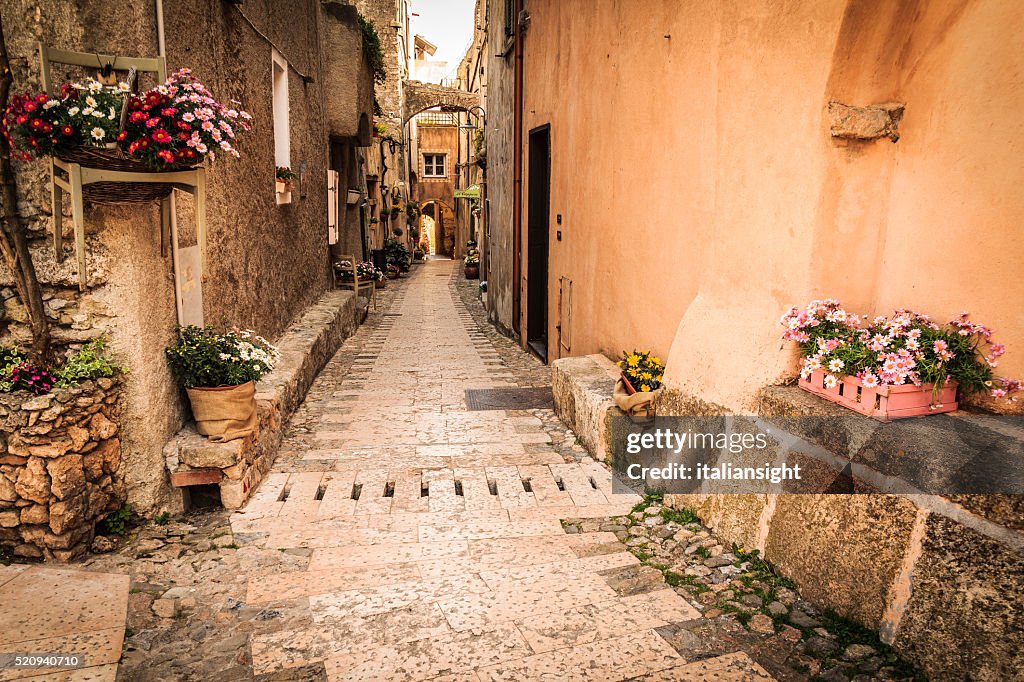 Medieval street alley with flowers and plants