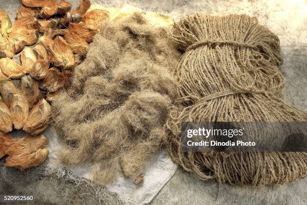 Cocanut Rope 251 Coconut Rope Stock Photos, High-Res Pictures, and Images - Getty Images