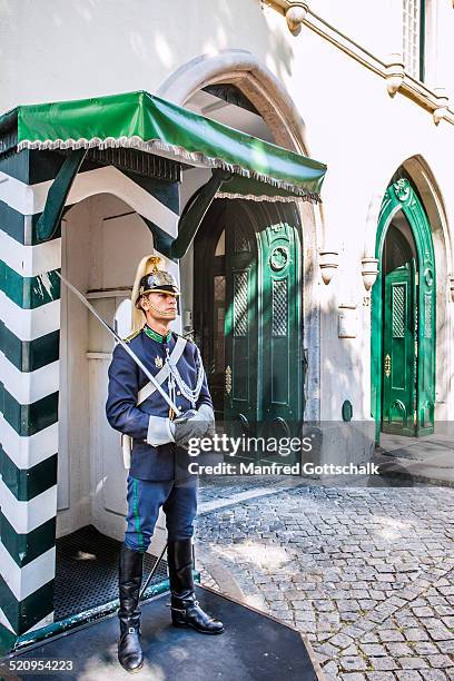 national republican guard sentry - republican national guard stock pictures, royalty-free photos & images