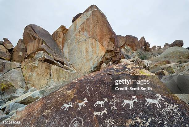 lake mead national recreation area, nevada. usa. - lake mead national recreation area stock pictures, royalty-free photos & images