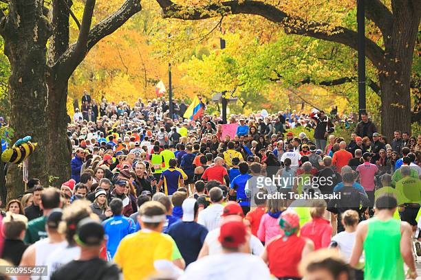 new york city marathon runners under autumn trees. - marathon new york stockfoto's en -beelden