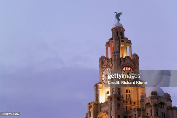 clock tower of royal liver building - royal liver building stock pictures, royalty-free photos & images