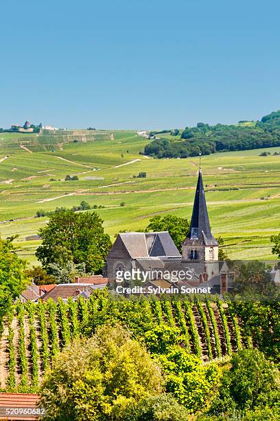 champagne, village of rilly la montagne - marne stock pictures, royalty-free photos & images