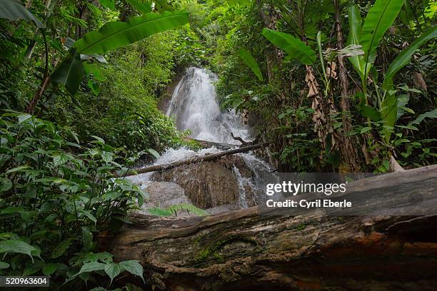 100 waterfalls nong khiaw - cyril eberle stockfoto's en -beelden