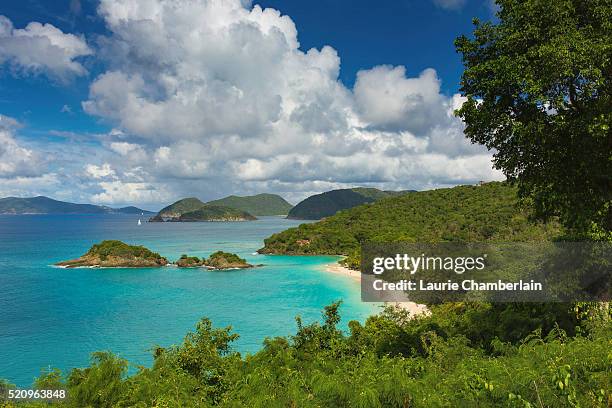 trunk bay, st. john, us virgin islands - trunk bay bildbanksfoton och bilder