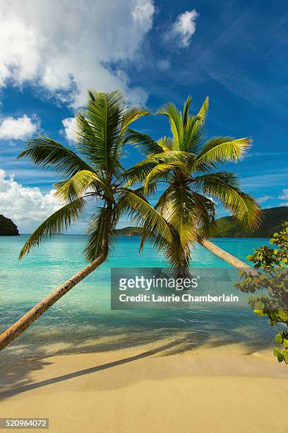 maho bay, st. john, us virgin islands - us virgin islands stock pictures, royalty-free photos & images