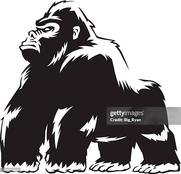 ilustrações de stock, clip art, desenhos animados e ícones de duro gorilla - gorila