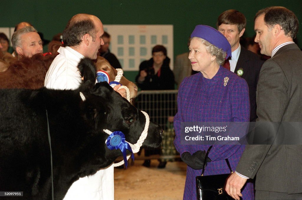 Queen Smithfield Show
