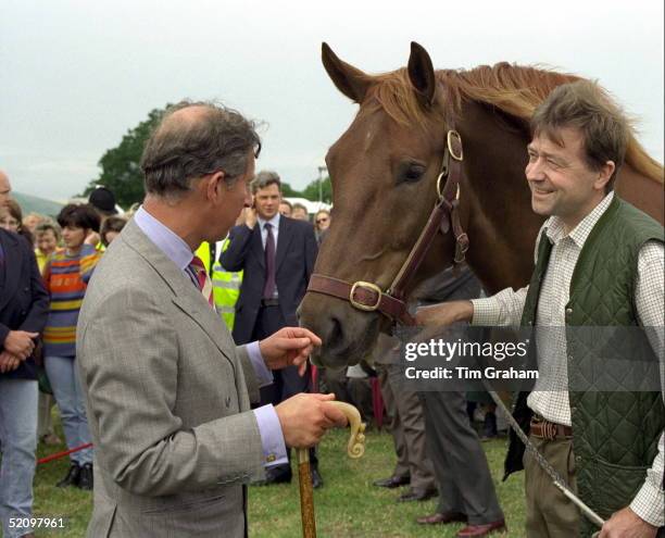 Prince Charles Stroking A Suffolk Punch Horse At The Cheshire County Show.