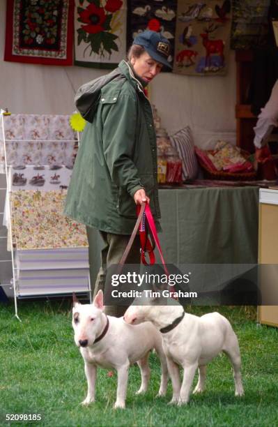 Princess Anne Walking Two Of Her Bull Terrier Dogs At The British Horse Trials Championships At Gatcombe Park In Gloucestershire. The Princess Is...