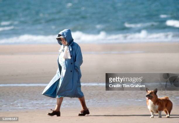 The Queen Mother Walking With One Of Her Friends And Her Corgi On The Beach In Norfolk.