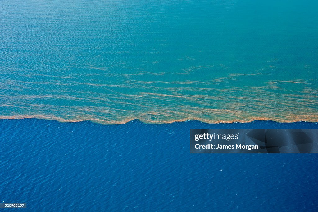 Algae blooms in the waters