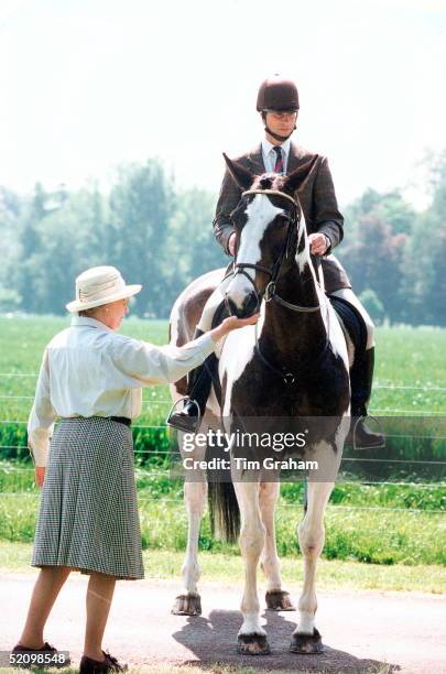 The Queen Petting Prince Edward's Skewbald Horse At The Royal Windsor Horse Show, Windsor, Berkshire.