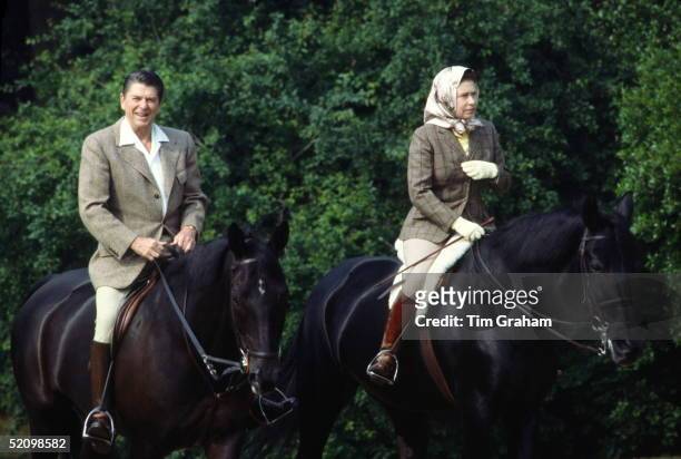 During His State Visit, Queen Elizabeth Ll Riding Her Horse 'burmese' In Windsor Great Park With President Reagan Who Is Riding 'centennial'. Wearing...