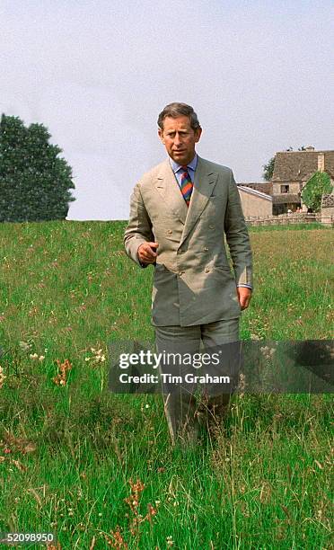 Prince Charles Using A Walking Stick As He Strolls Through The Meadow At Clattinger Farm Near Oaksey Wiltshire.he Is Visiting As Patron Of The...