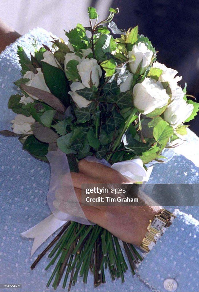 Diana Lung Foundation