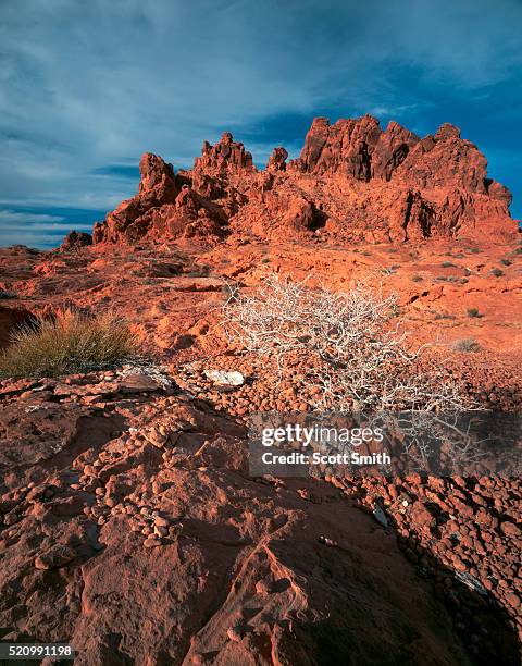 valley of fire state park, nevada, usa - área de protecção nacional red rock canyon imagens e fotografias de stock