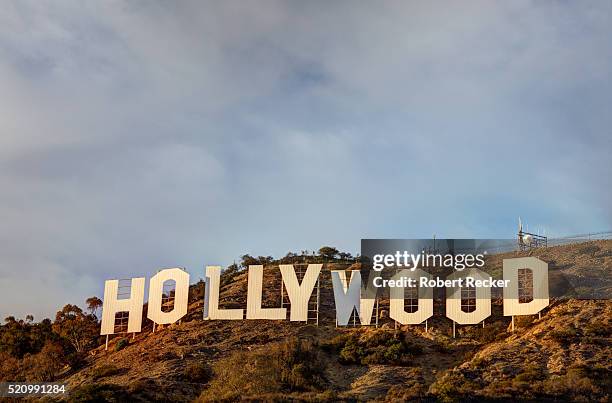 hollywood sign - hollywood hill stock pictures, royalty-free photos & images