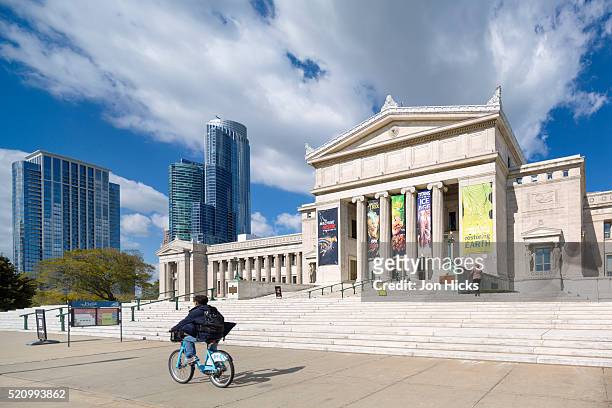 the field museum of natural history, chicago. - the field museum chicago - fotografias e filmes do acervo