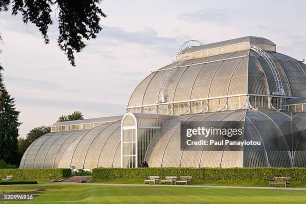the palm house at kew gardens, london, uk - kew gardens stock pictures, royalty-free photos & images