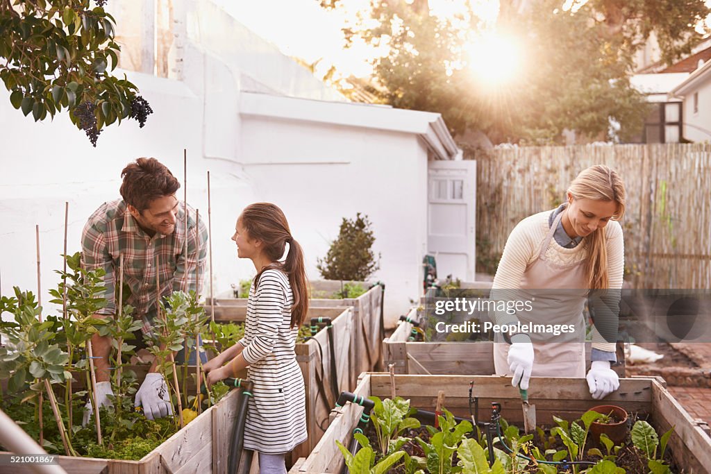 Obter alguns Jardinagem Feito em família