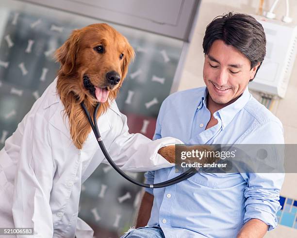 perro en vet - animal internal organ fotografías e imágenes de stock