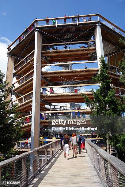 Lipno treetop walkway. In Lipno nad Vltavou, Czech Republic. The walkway is high above Lipno with fine views over Lake Lipno and the Sumava mountains.