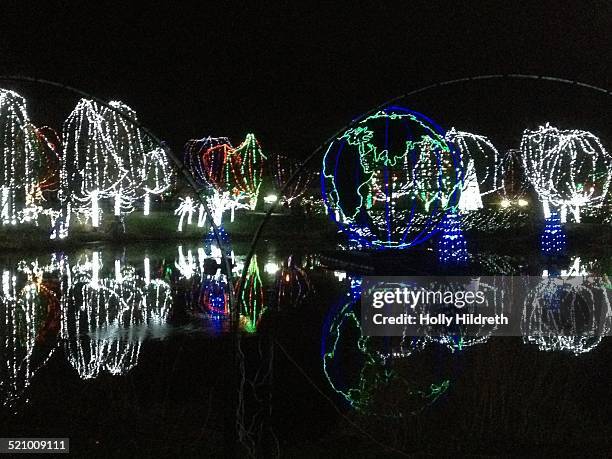 Wild lights is a Columbus, Ohio zoo tradition that draws in many visitors every year.