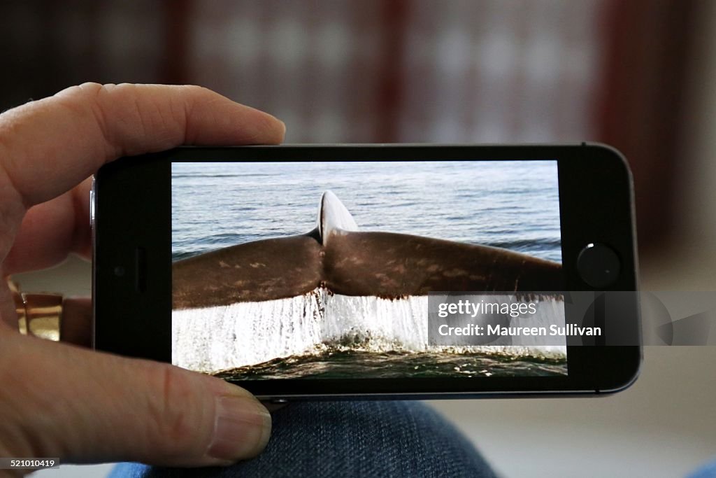 Mobile TV Watching