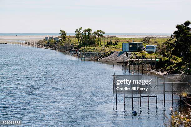 Okuru Okuru River Photos and Premium High Res Pictures - Getty Images