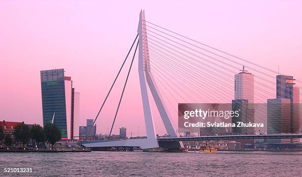 Erasmus bridge in Rotterdam, the Netherlands