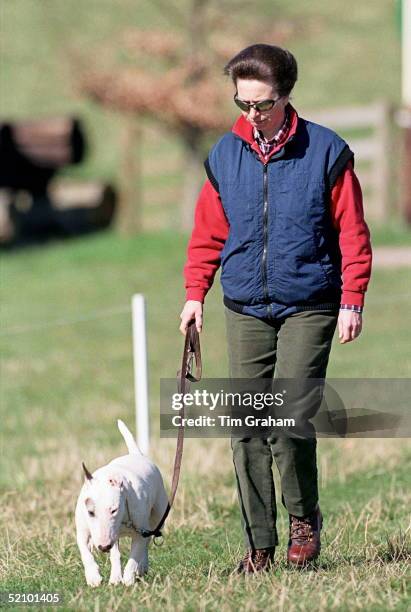 Princess Anne Walking Her Pet Bull Terrier Dog At Gatcombe Park Horse Trials, Gloucestershire.
