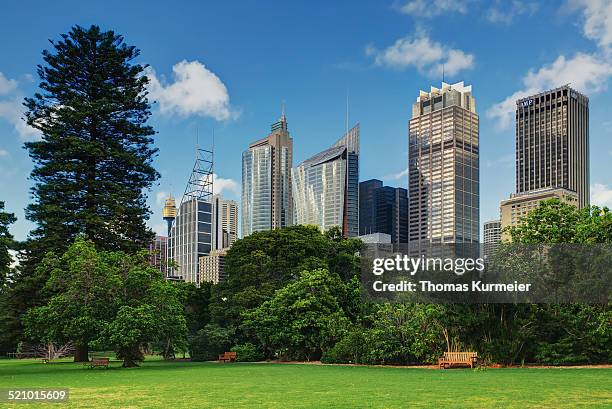 australias cities & landmarks - königlicher botanischer garten stock-fotos und bilder