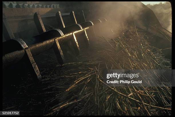 Processed Cane 585 Processing Sugar Cane Stock Photos, High-Res Pictures, and Images ...