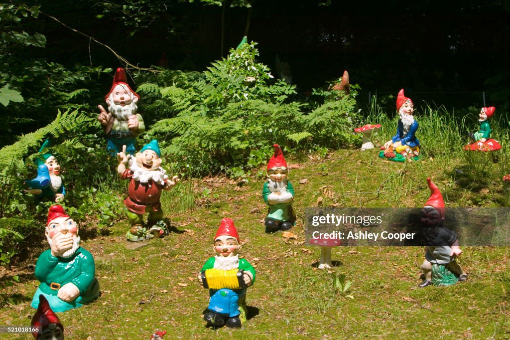 Garden Gnomes
