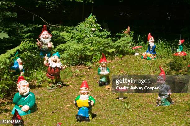 garden gnomes - garden gnome stock pictures, royalty-free photos & images