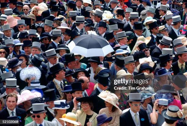 Tightly Packed Crowd Gather To Watch The Racing At Royal Ascot.