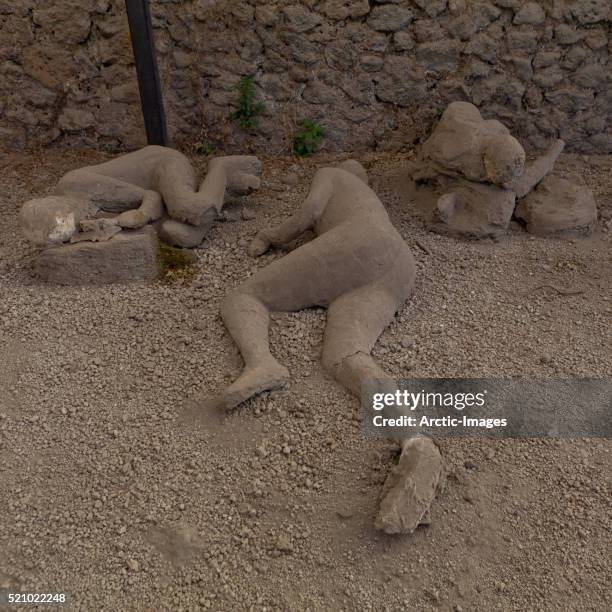 "garden of fugitives" petrified corpses in pompeii, campania, italy - victim stock pictures, royalty-free photos & images