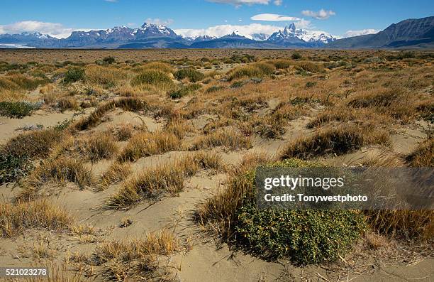 grasslands in parque nacional los glaciares - américa del sur fotografías e imágenes de stock